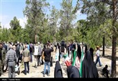 پویش ملی درختکاری سرو ایران (بیاد امام شهید و شهدای والامقام نبرد رمضان )