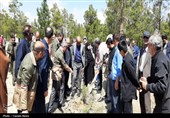 پویش ملی درختکاری سرو ایران (بیاد امام شهید و شهدای والامقام نبرد رمضان )