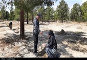 پویش ملی درختکاری سرو ایران (بیاد امام شهید و شهدای والامقام نبرد رمضان )