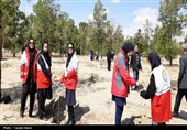 پویش ملی درختکاری سرو ایران (بیاد امام شهید و شهدای والامقام نبرد رمضان )