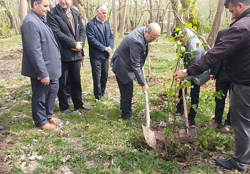 پویش پاکسازی و درختکاری در پارک جنگلی بندر کیاشهر