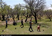 روز طبیعت در قزوین