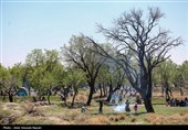 روز طبیعت در قزوین