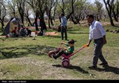 روز طبیعت در قزوین