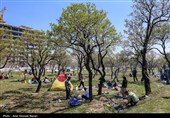 روز طبیعت در قزوین