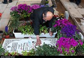 روز طبیعت در قطعه شهدای جنگ رمضان