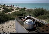 روز طبیعت در کیش
