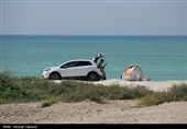 روز طبیعت در کیش