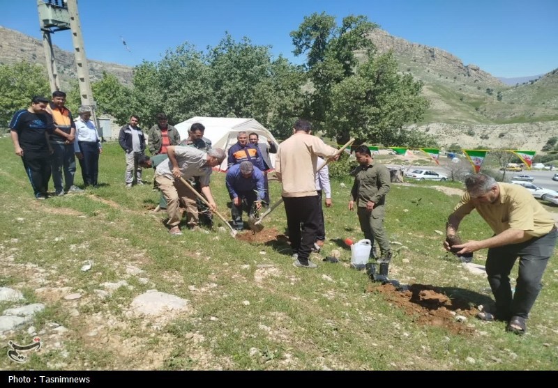 سازمان منابع طبیعی , 