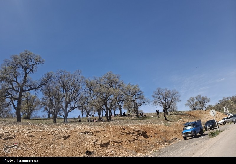 روز طبیعت , اخبار استان کهگیلویه و بویراحمد , 