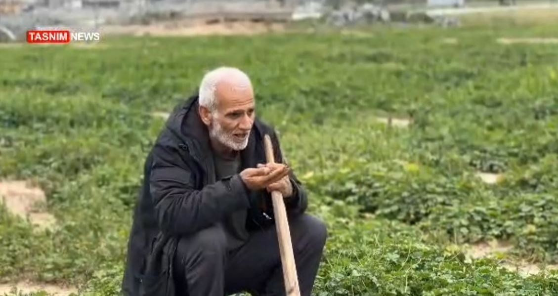 يوم الأرض , فلسطين , 