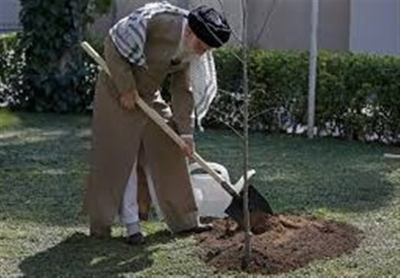 درخواست اجتماع کنندگان در میدان کوثر از منابع طبیعی استان کرمان