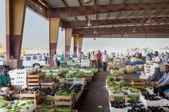 خلیج فارس , امنیت غذایی , جنگ آمریکا و رژیم صهیونیستی علیه ایران , عربستان سعودی , کشور امارات متحده عربی , کشور قطر , کشور بحرین , 