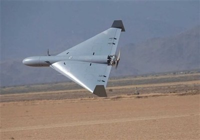 تحليل تسنيم.. الإمارات والسعودية جازفتا بمقامرة كبرى عبر إرسال مسيرات إلى إيران