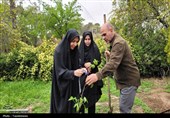 غرس 73 نهال به یاد شهدای مردمی جنگ رمضان در شهرستان‌های استان تهران