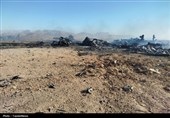 پرنده‌های متجاوز امریکایی