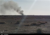 پرنده‌های متجاوز امریکایی