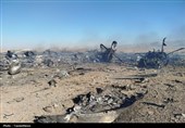 پرنده‌های متجاوز امریکایی