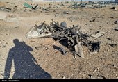 پرنده‌های متجاوز امریکایی
