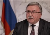Ульянов: атаку на Бушерскую АЭС совершили «психически неуравновешенные люди»