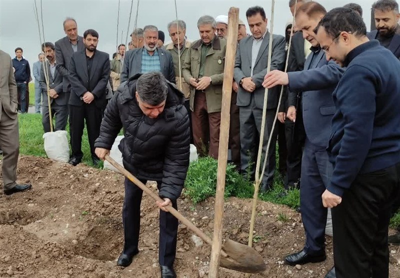 پویش , روز درختکاری , مشهد مقدس , اخبار مشهد , شهید امام خامنه ای (ره) , پایش و نظارت در محیط زیست , 