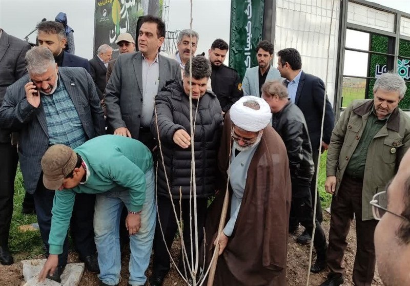 پویش , روز درختکاری , مشهد مقدس , اخبار مشهد , شهید امام خامنه ای (ره) , پایش و نظارت در محیط زیست , 