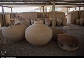 کشف 209 سکه دوران اسلامی در اطراف تخت جمشید
