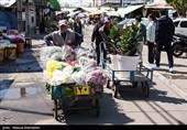 بازار گل تهران زیر سایه جنگ