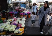 بازار گل تهران زیر سایه جنگ