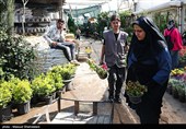 بازار گل تهران زیر سایه جنگ