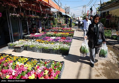 بازار گل تهران زیر سایه جنگ