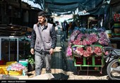 بازار گل تهران زیر سایه جنگ