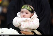 همدلی عرب زبانان با مردم ایران در اربعین امام شهید