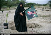 مراسم کاشت 168 اصله نهال به یاد شهدای میناب در کیش