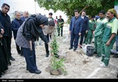 مراسم کاشت 168 اصله نهال به یاد شهدای میناب در کیش