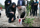 مراسم کاشت 168 اصله نهال به یاد شهدای میناب در کیش