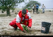 مراسم کاشت 168 اصله نهال به یاد شهدای میناب در کیش