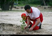 مراسم کاشت 168 اصله نهال به یاد شهدای میناب در کیش