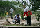 مراسم کاشت 168 اصله نهال به یاد شهدای میناب در کیش