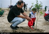 مراسم کاشت 168 اصله نهال به یاد شهدای میناب در کیش