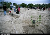 مراسم کاشت 168 اصله نهال به یاد شهدای میناب در کیش