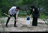 مراسم کاشت 168 اصله نهال به یاد شهدای میناب در کیش