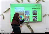 آموزشهای مجازی دروس اموزش و پرورش-همدان