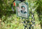 سهم 7.5 میلیونی لرستان در طرح کاشت یک میلیارد نهال