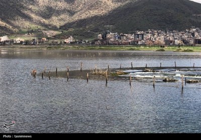 زریبار تالابی که زیر بار وعده‌ها نفس می‌کشد+تصاویر