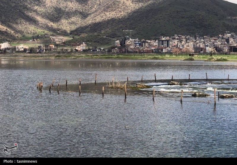اخبار مریوان , اخبار استان کردستان , استان کردستان , 