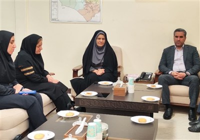 همکاری 3 دستگاه برای اشتغال در مگاپروژه فیبرنوری خراسان جنوبی