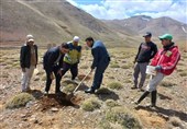 احیای پوشش گیاهی خنداب با بذرکاری 400 کیلوگرم بادام کوهی