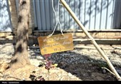 کاشت نهال به یاد رهبر شهید انقلاب در کردستان