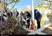 کاشت نهال به یاد رهبر شهید انقلاب در کردستان